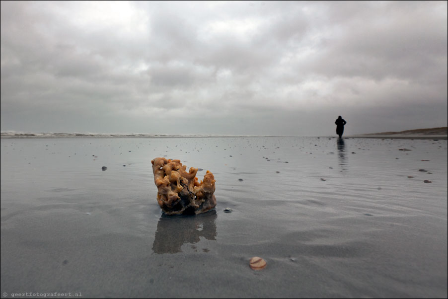 ameland, strand buren