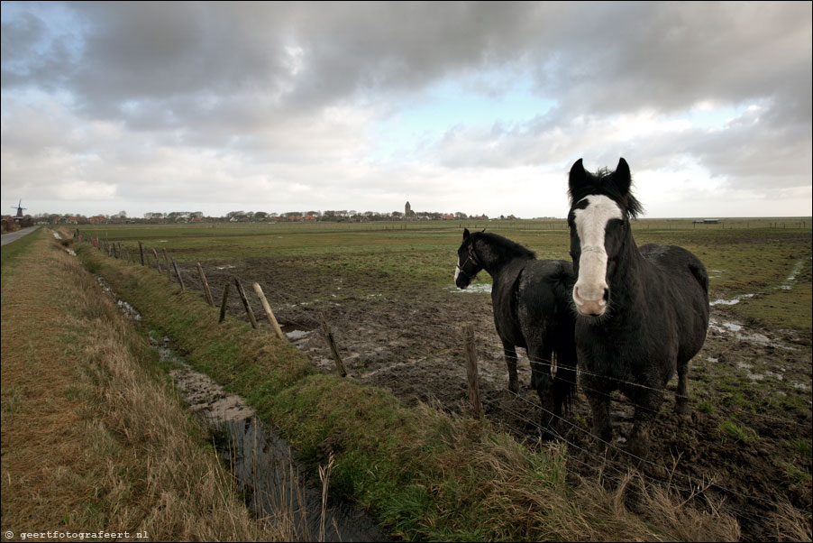 ameland, hollum