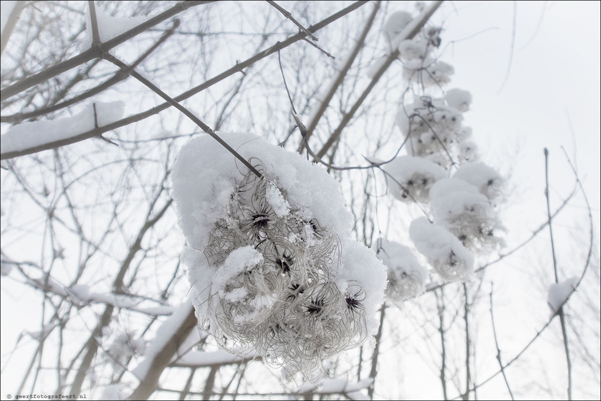 winter januari 2013