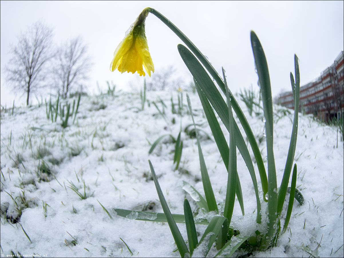 1 dagje winter