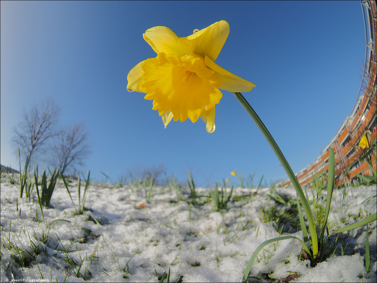 1 dagje winter