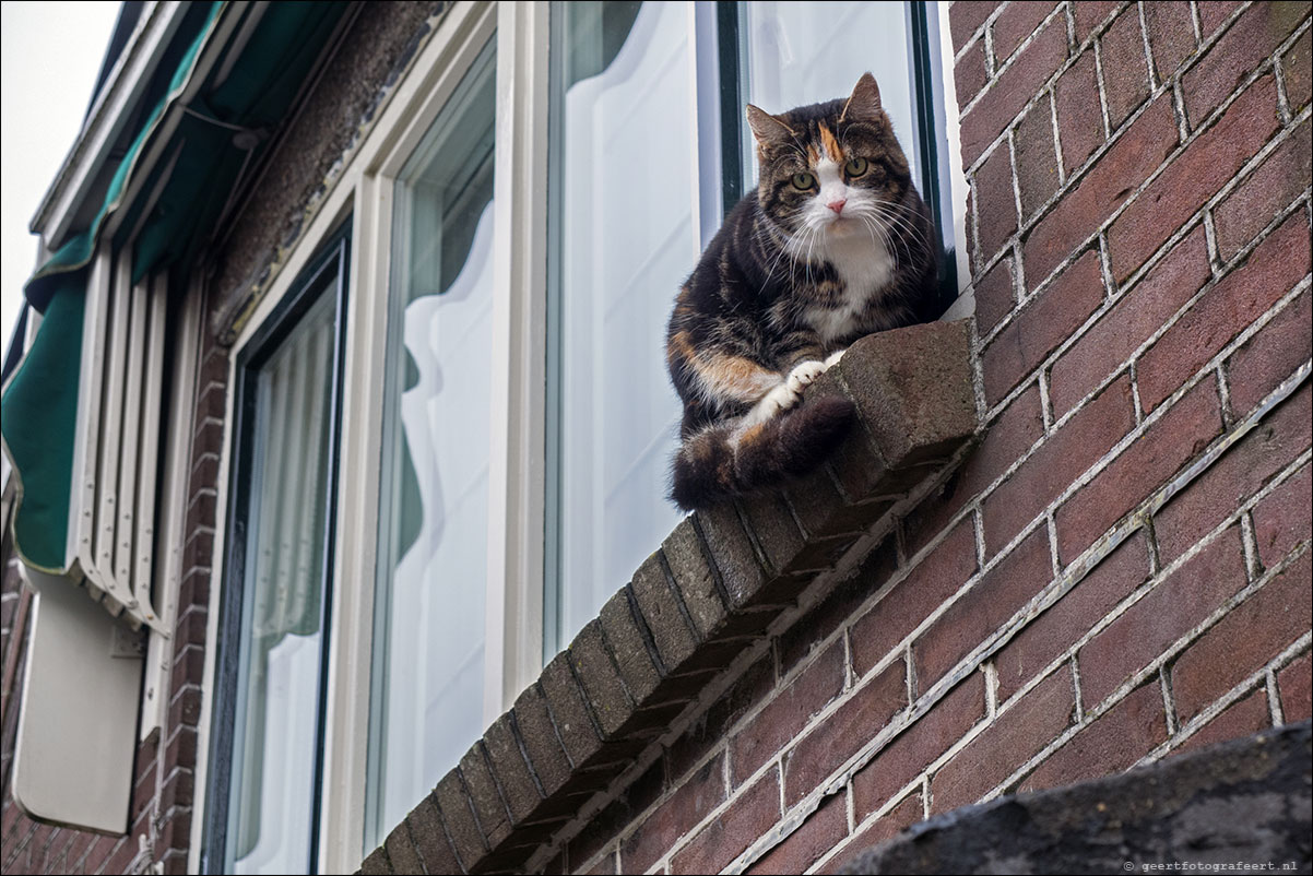 zuiderzeepad enkhuizen-hoorn