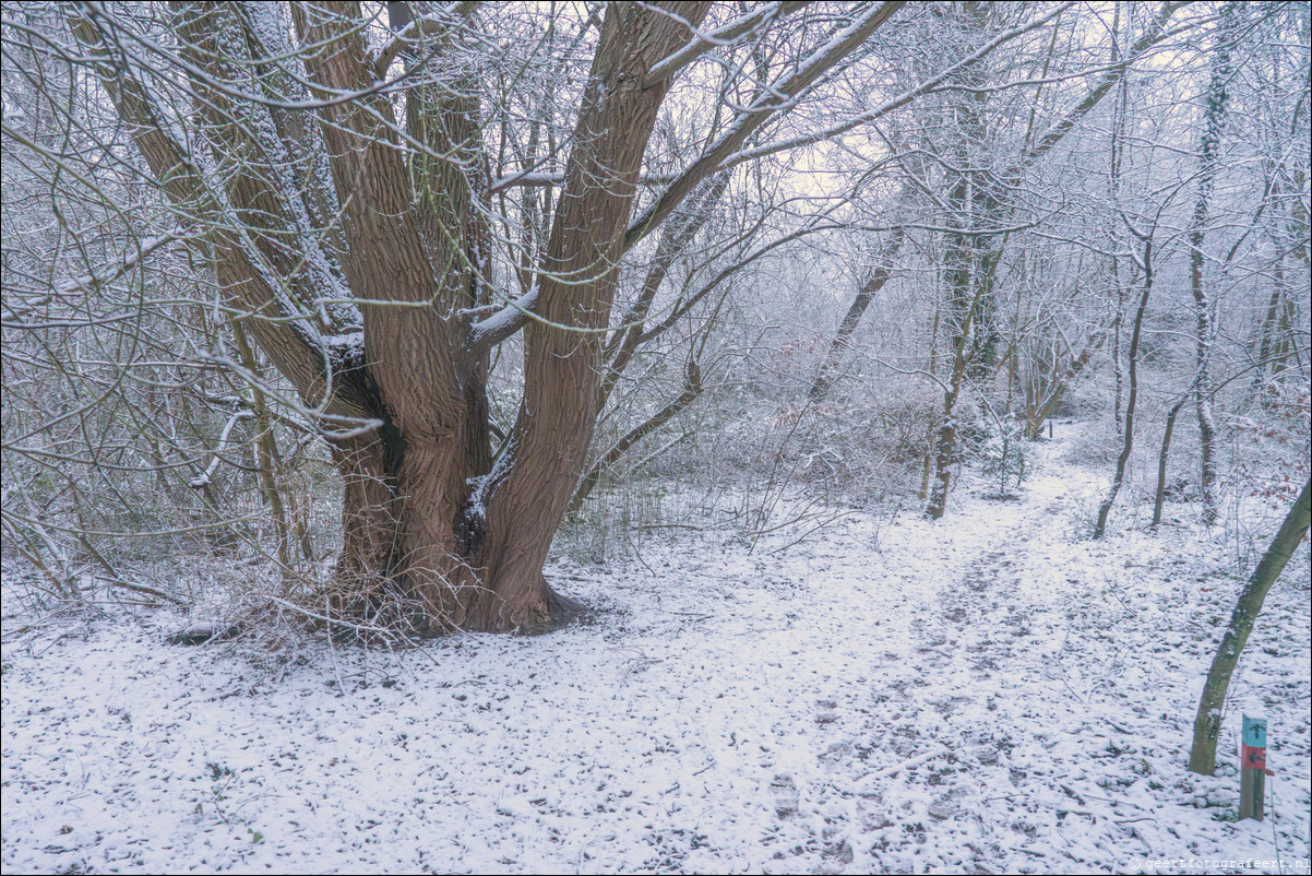 winter almere haven