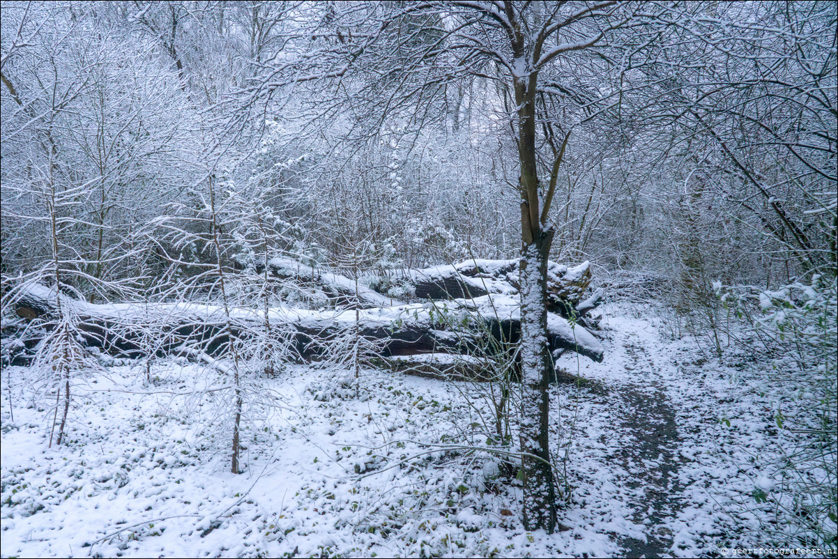 winter almere haven