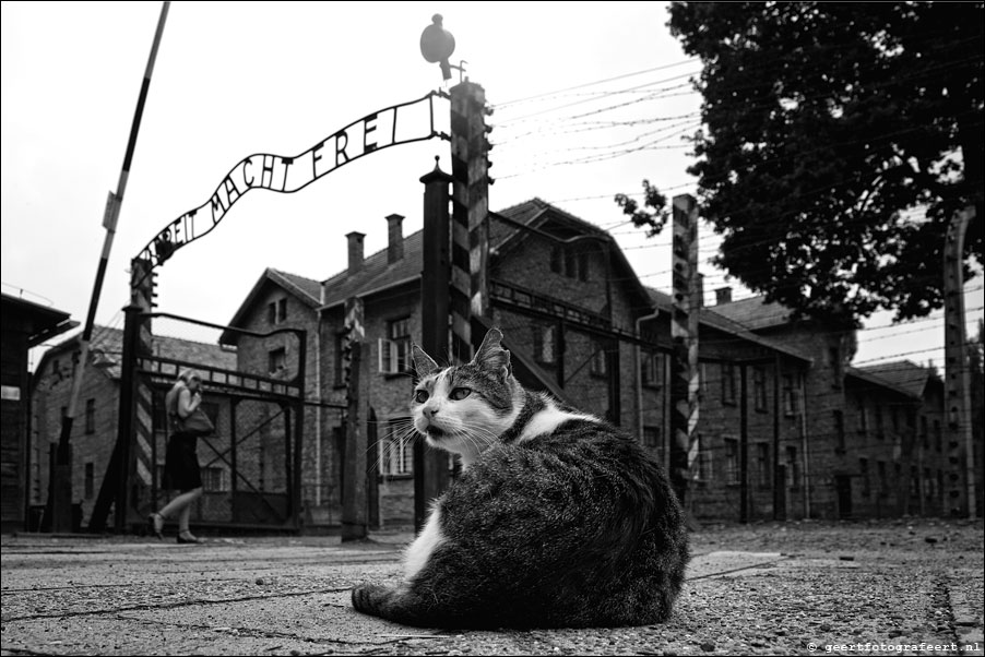 auschwitz