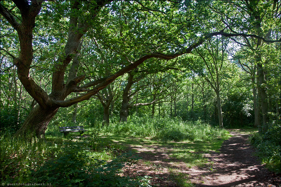 noordhollands duinreservaat