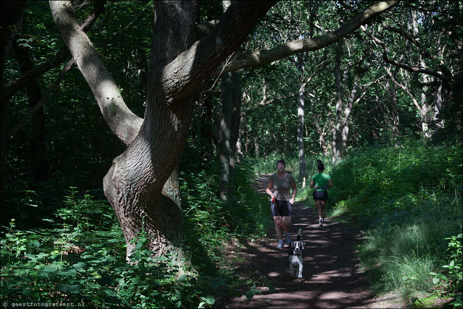 noordhollands duinreservaat