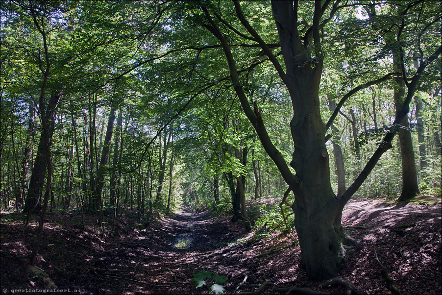 noordhollands duinreservaat