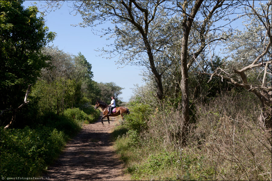 noordhollands duinreservaat