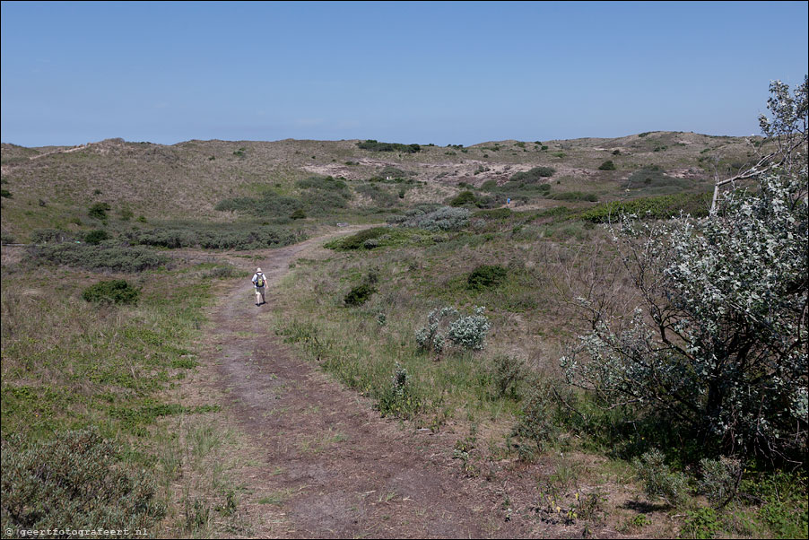 noordhollands duinreservaat