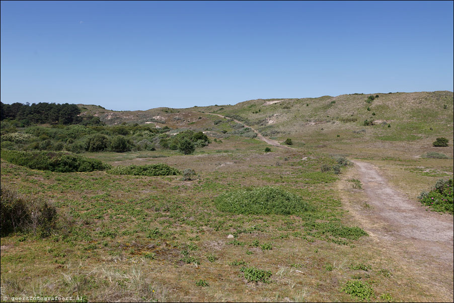 noordhollands duinreservaat