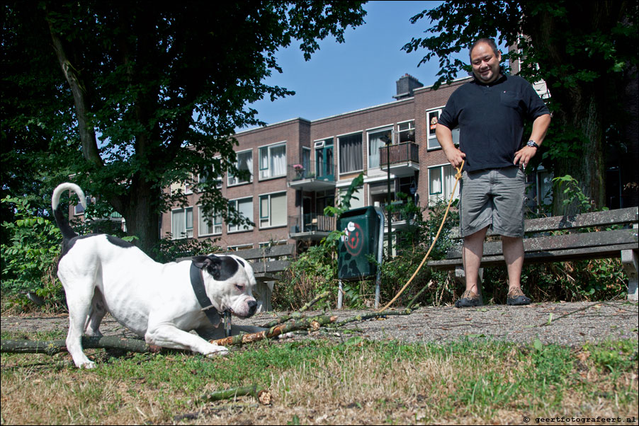 Niftarlakeplantsoen, utrecht zuilen