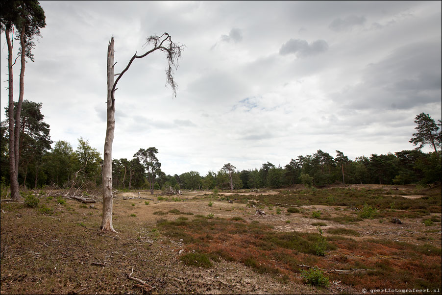 landgoed den treek