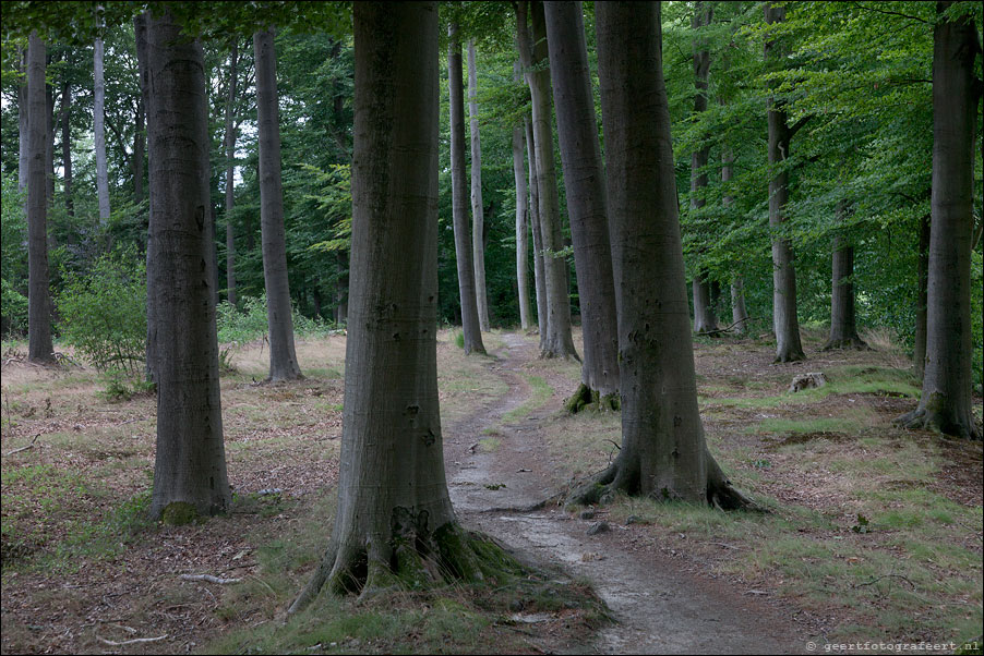 landgoed de boom