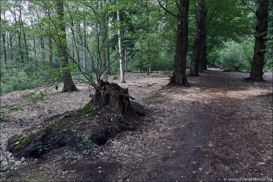 natuurgebied de pettelaar