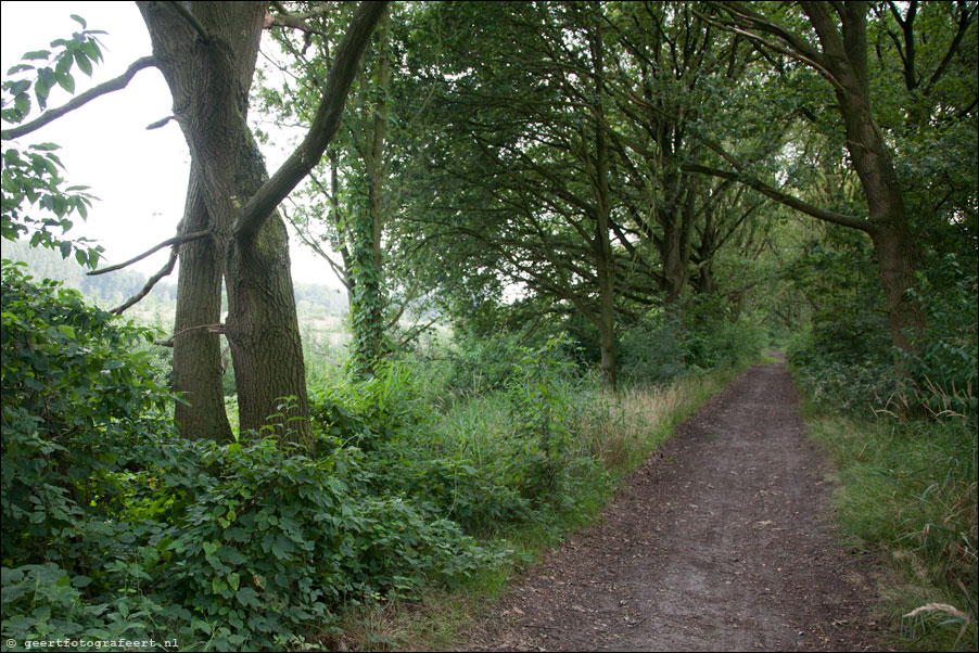 natuurgebied de pettelaar