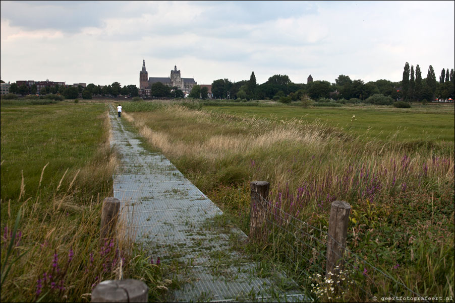 bosche broek, st. jan den bosch