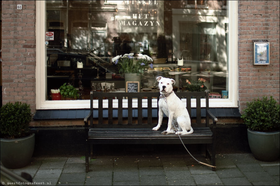 franshalsstraat