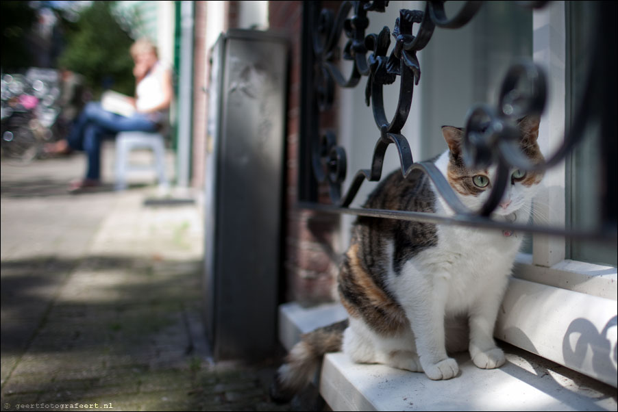 frans halsstraat