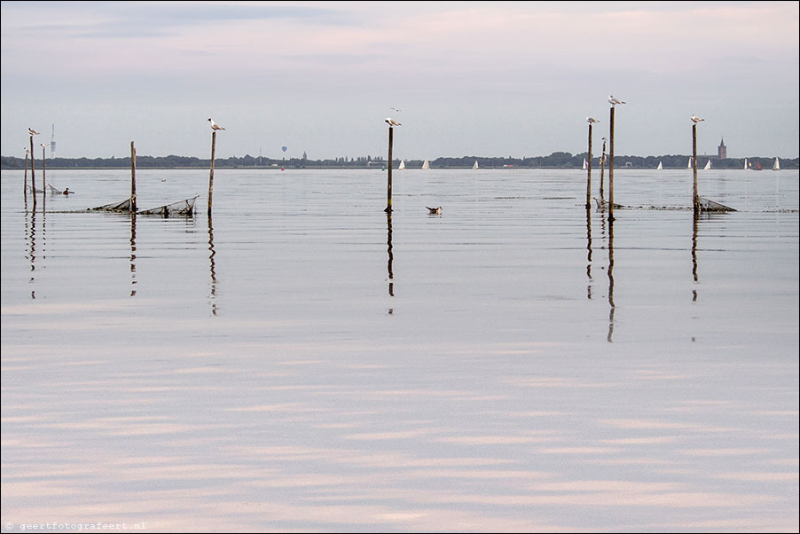 gooimeer