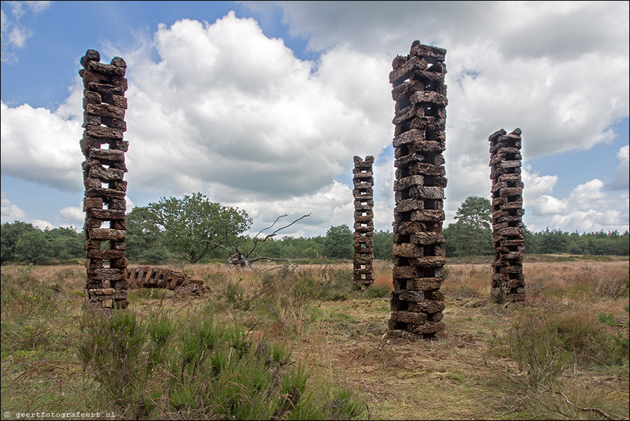 drents friese wold