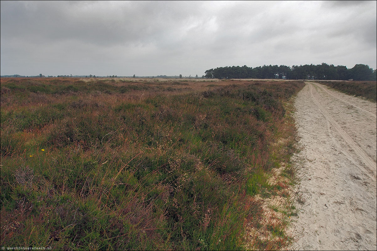 balloërveld pieterpad