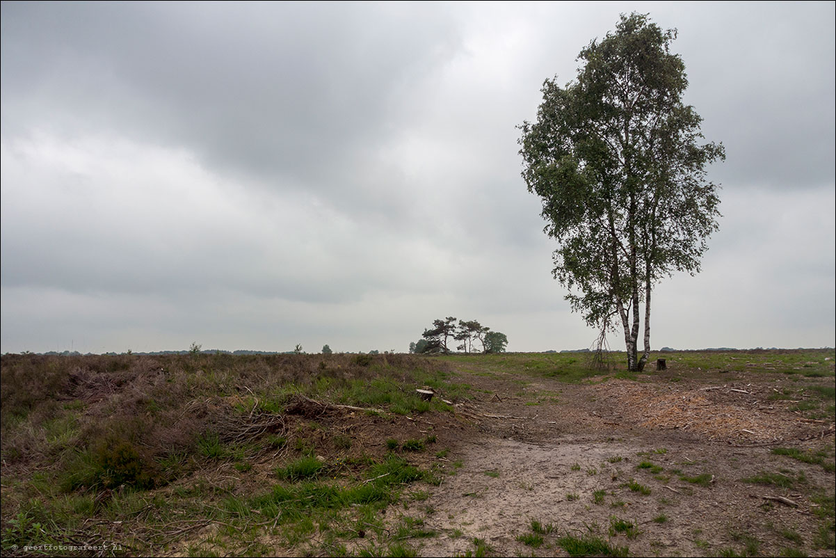 balloërveld  pieterpad