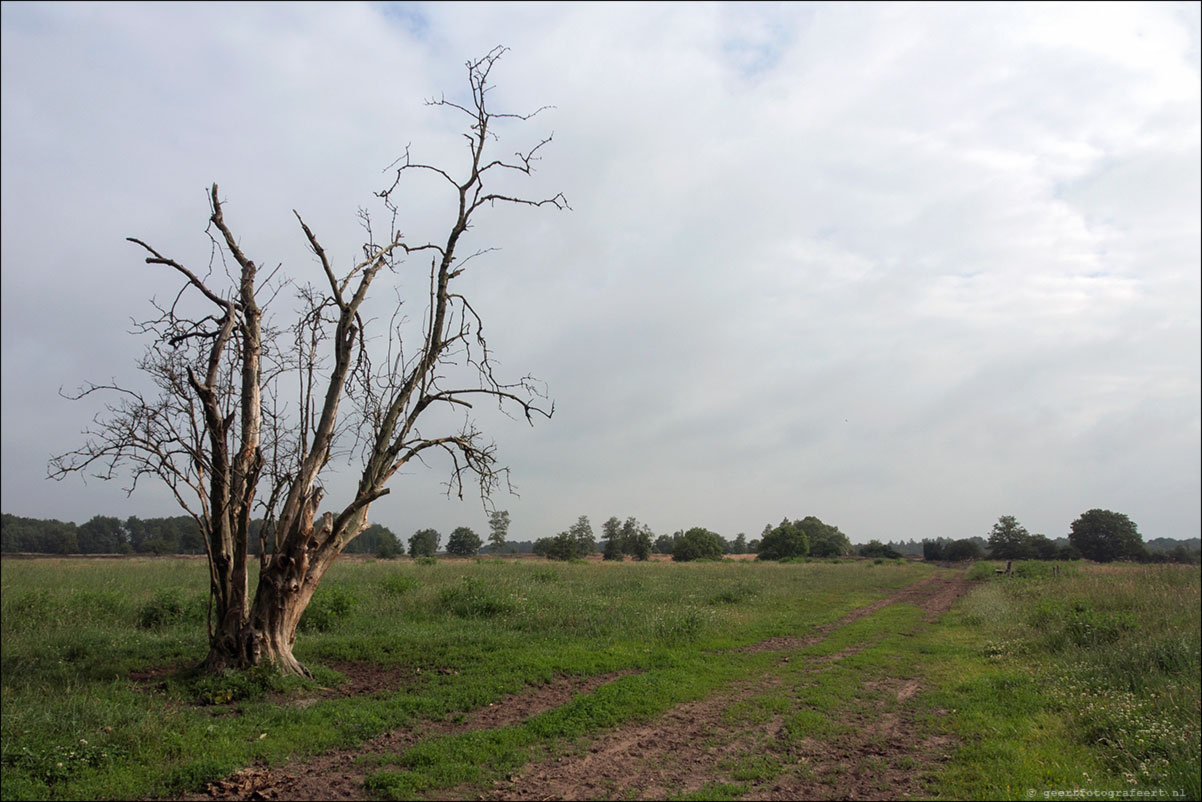 balloërveld  pieterpad