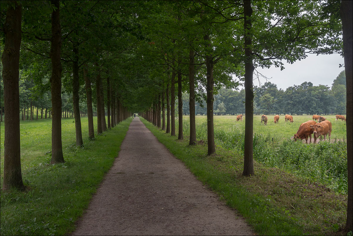 op weg naar buren