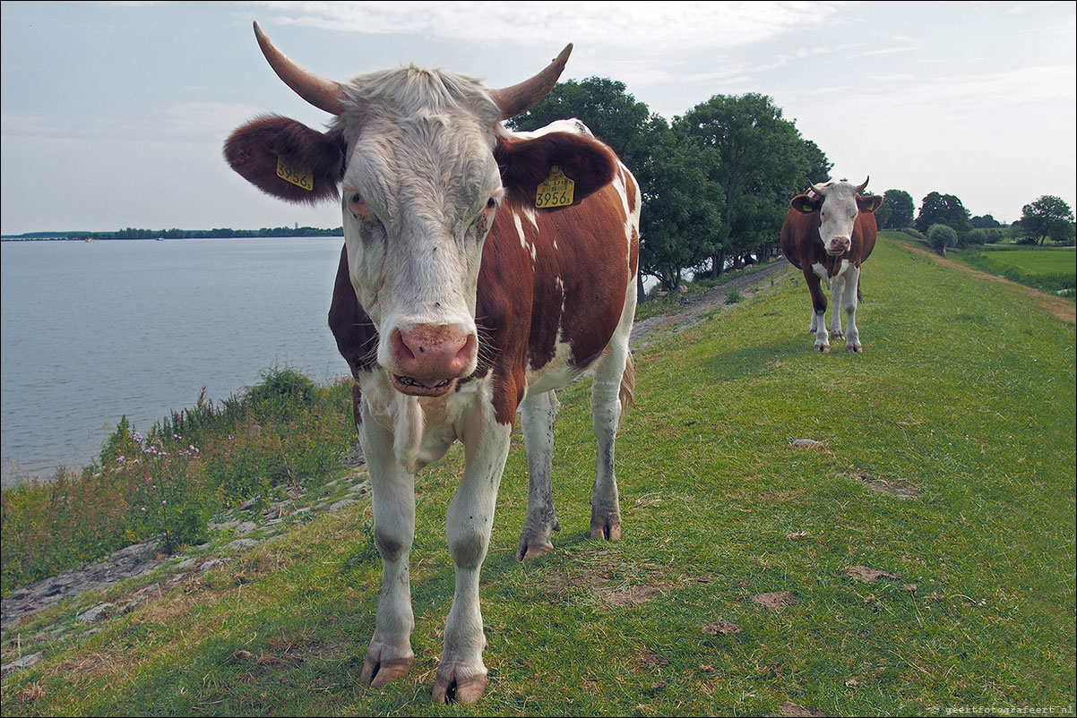 zuiderzeepad dijkweg