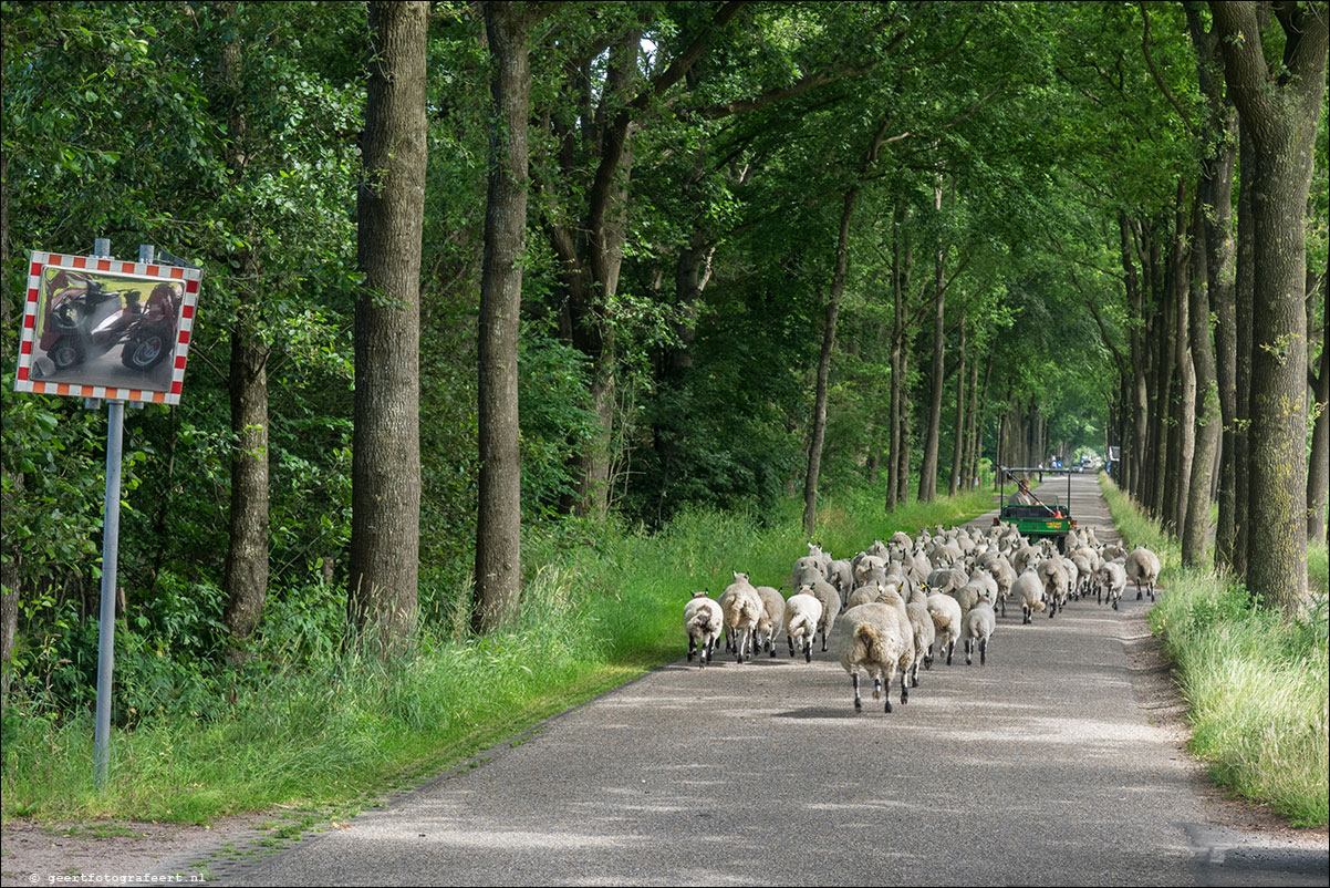 westerborkpad putten - harderwijk