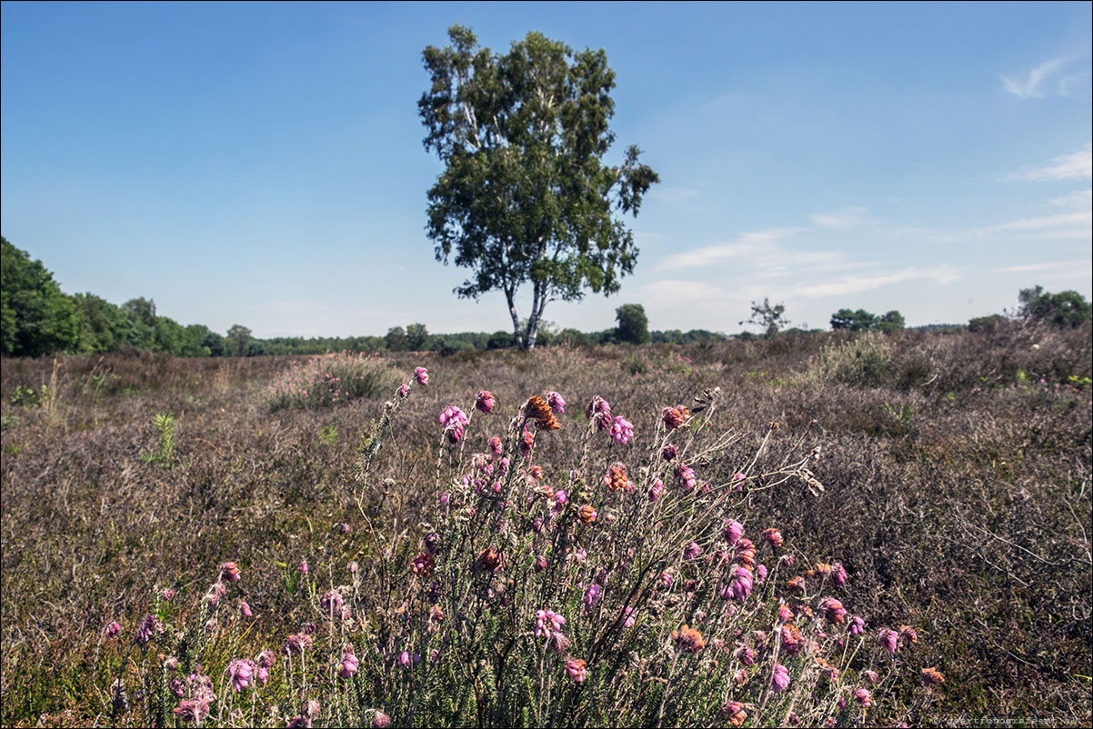 westerborkpad putten - harderwijk