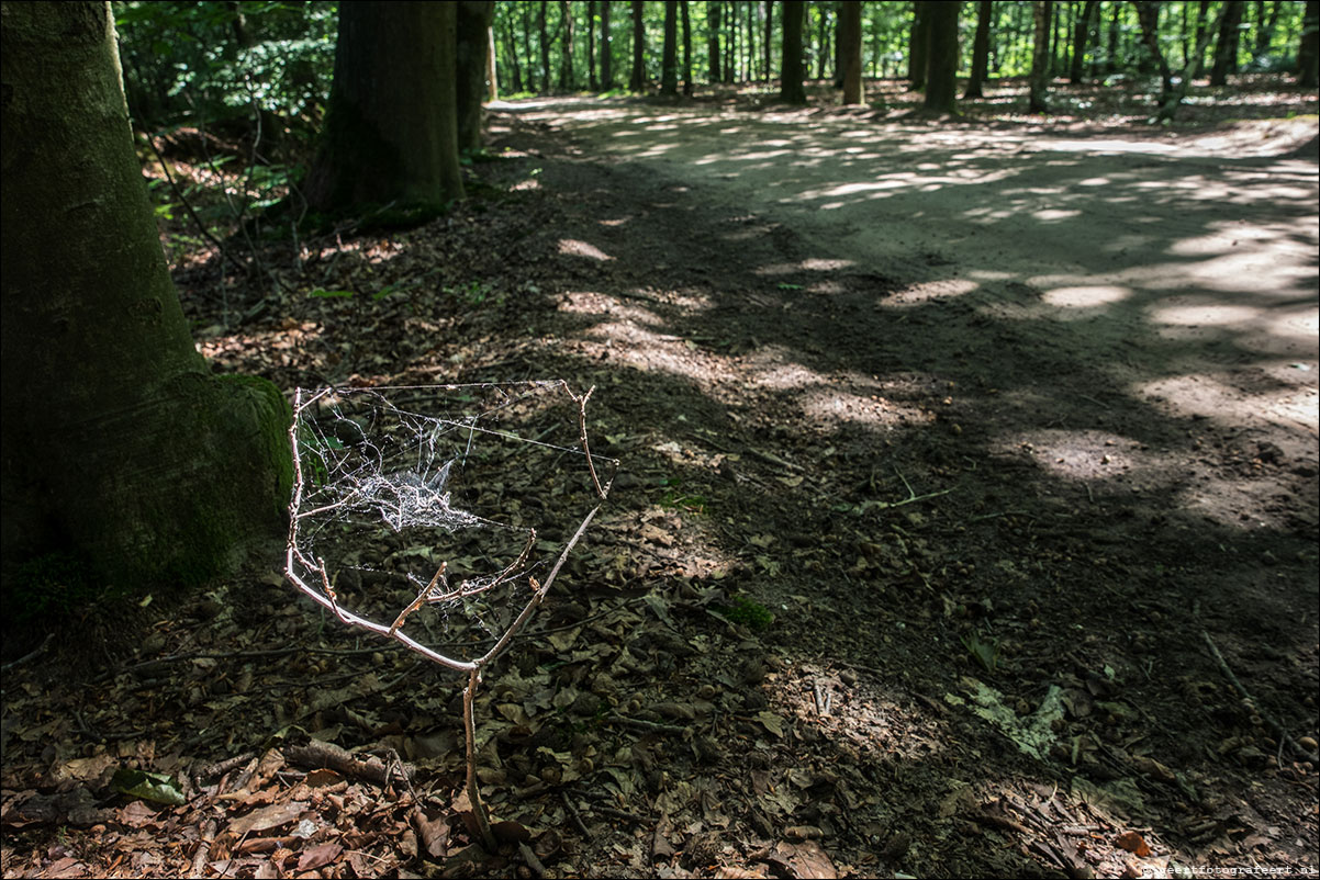 westerborkpad putten - harderwijk