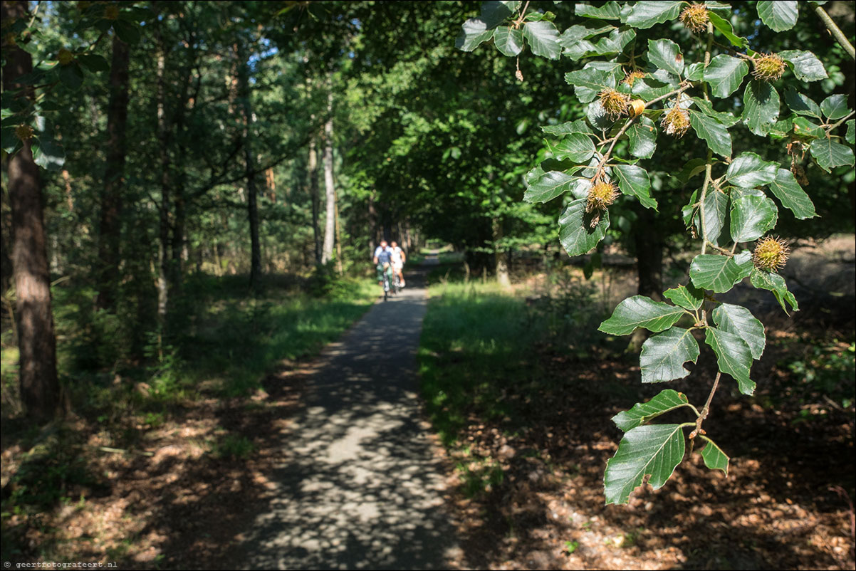 westerborkpad harderwijk