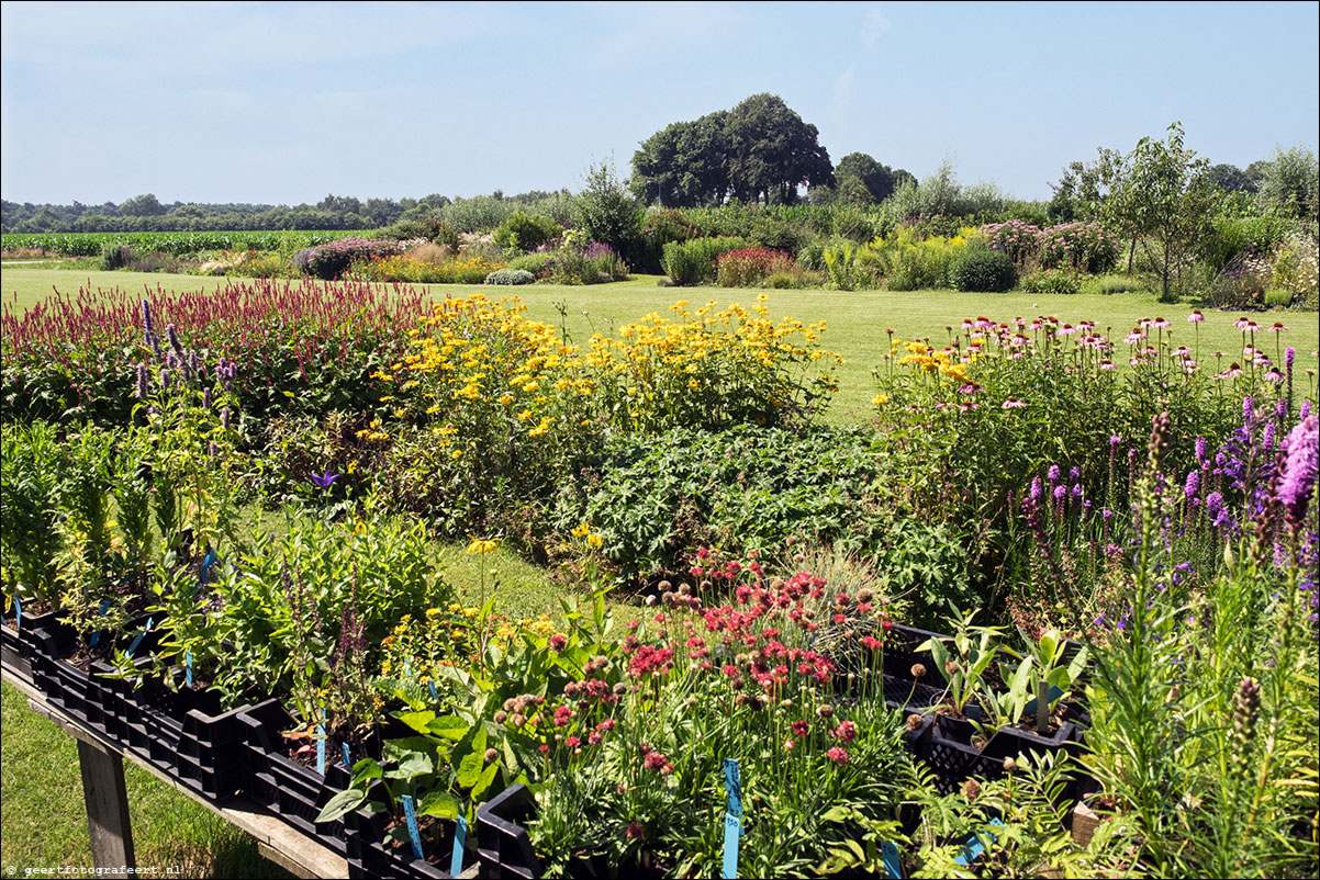 westerborkpad hulshorst