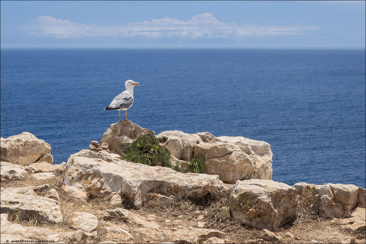 ibiza eiland Formentera