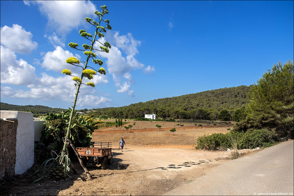 Santa Agnes de Corona naar Sant Antoni de Portmany