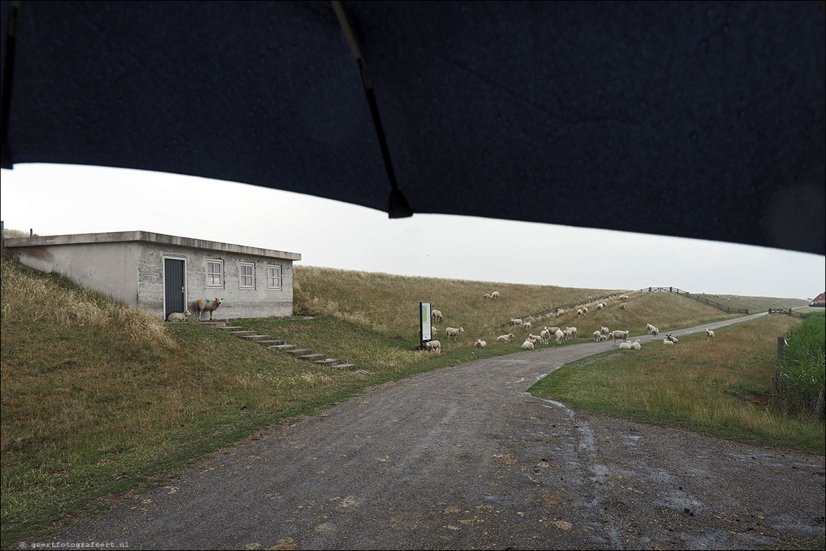 kustpad: harlingen - zwarte haan - holwerd