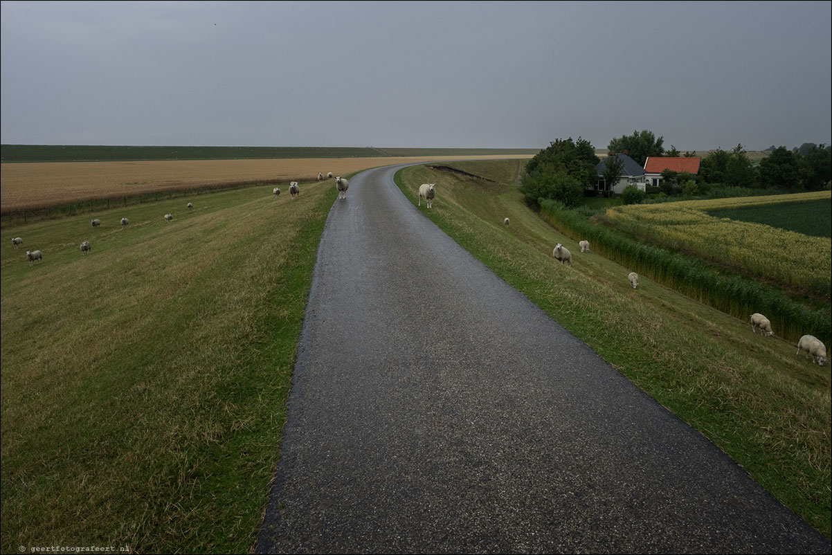 kustpad: harlingen - zwarte haan - holwerd