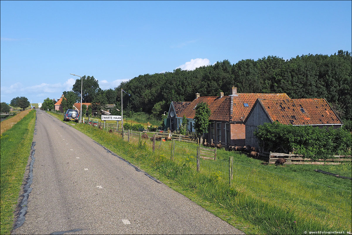 kustpad: harlingen - zwarte haan - holwerd