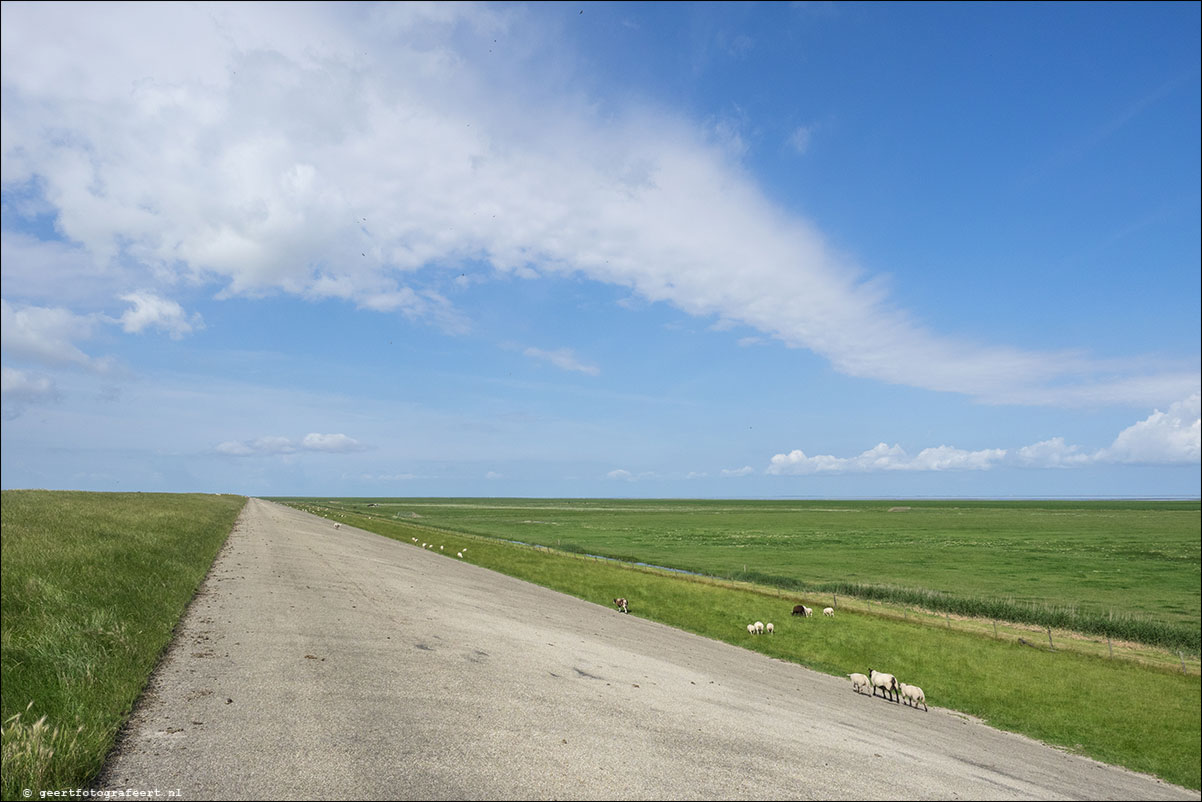 kustpad: harlingen - zwarte haan - holwerd