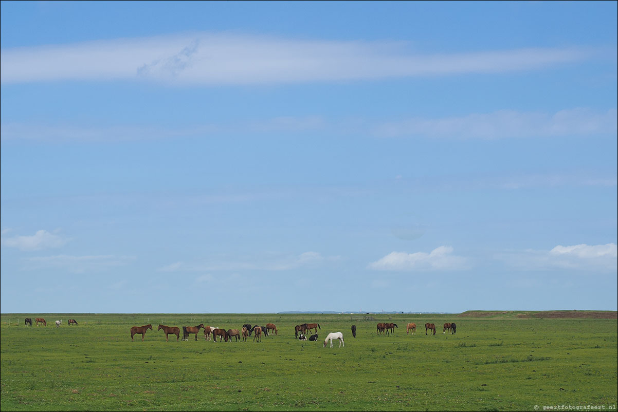 kustpad: harlingen - zwarte haan - holwerd