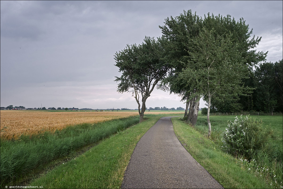 kustpad: harlingen - zwarte haan - holwerd