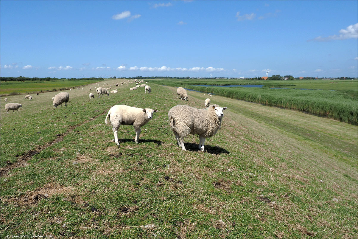 kustpad stavoren hindeloopen workum makkum zurich harlingen