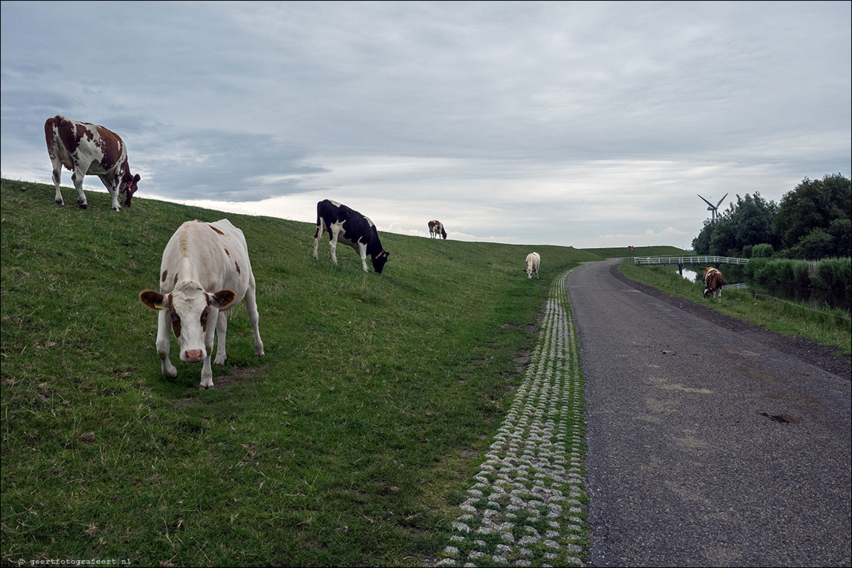 kustpad stavoren hindeloopen workum makkum zurich harlingen