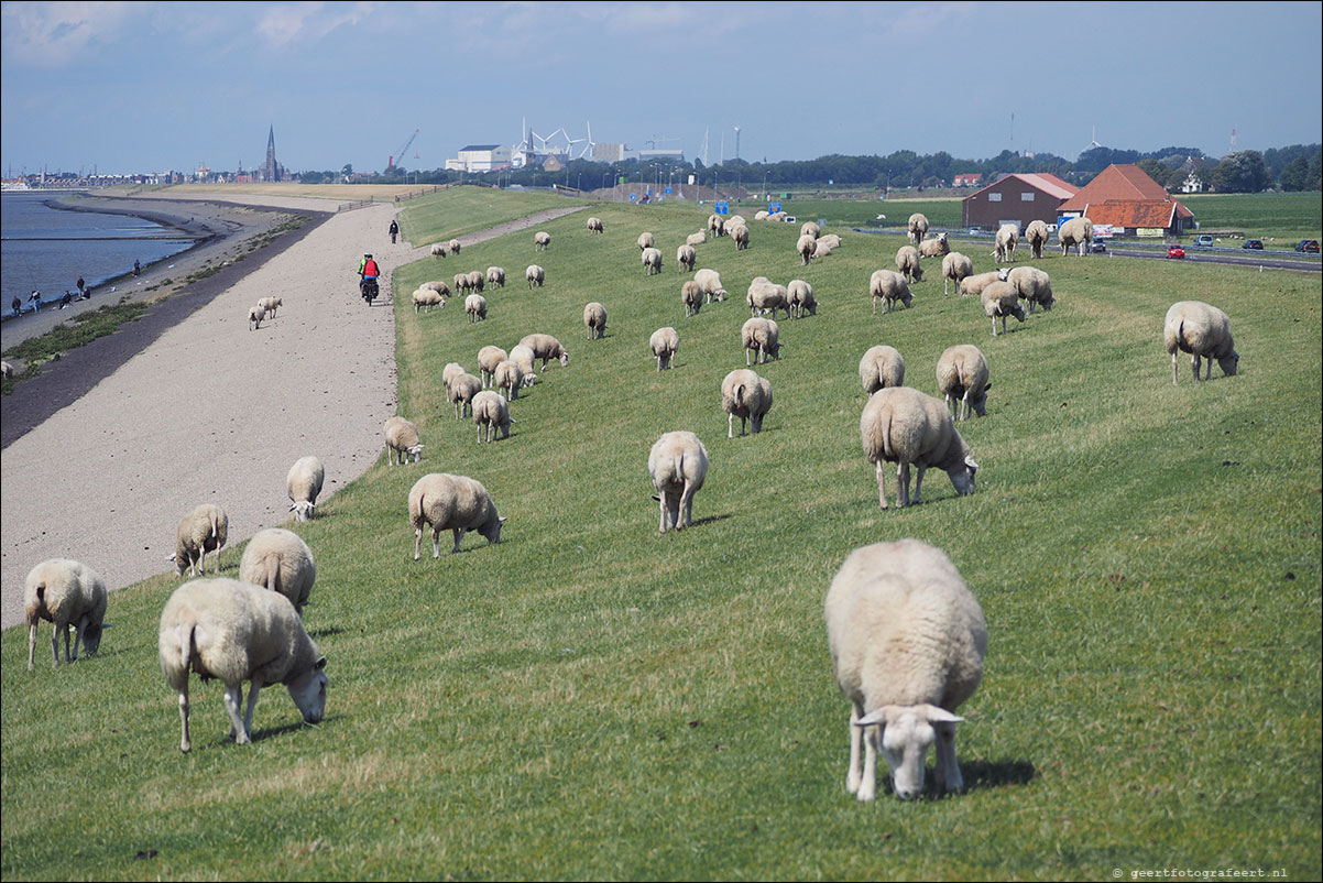 kustpad stavoren hindeloopen workum makkum zurich harlingen