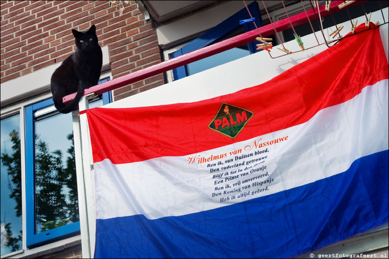 kat met vlag oranje