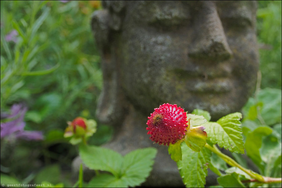 tuin almere haven