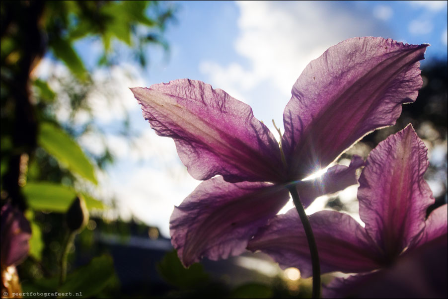 tuin almere haven