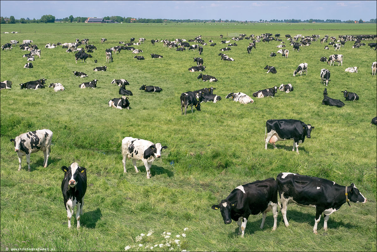 zuiderzeepad blokzijl kuinre lemmer